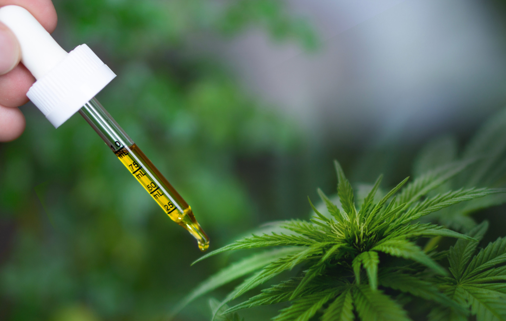 Medical Use of Cannabis and CBD in Children - Pediatrics Northwest